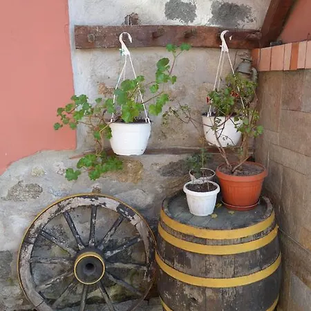 招待所 Zlatniyat Telets 科普里夫什迪察