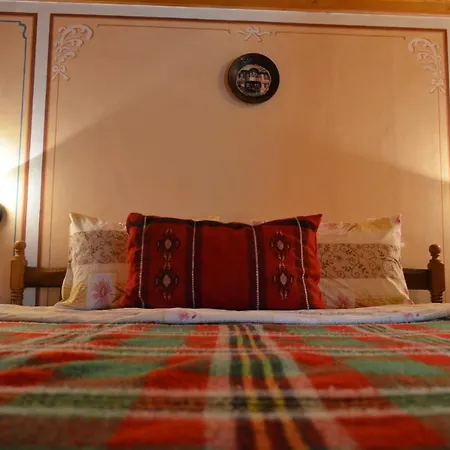 Zlatniyat Telets 招待所 科普里夫什迪察