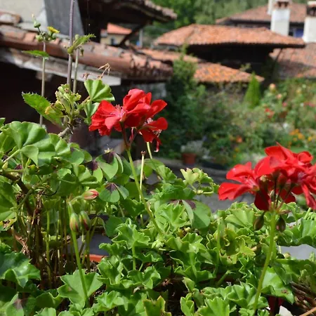 Zlatniyat Telets 招待所